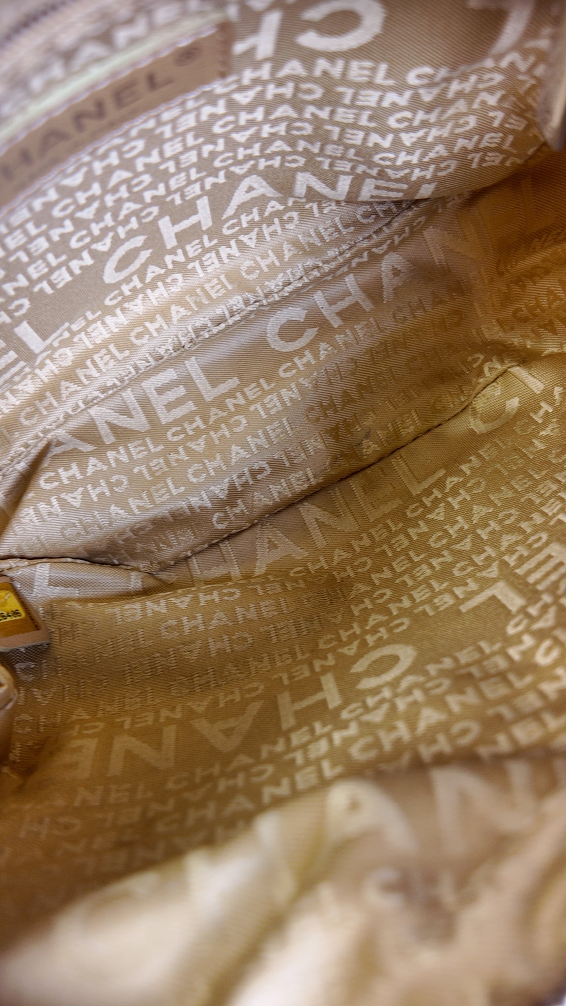 CHANEL CANVAS LUCKY CLOVER CAMERA BAG