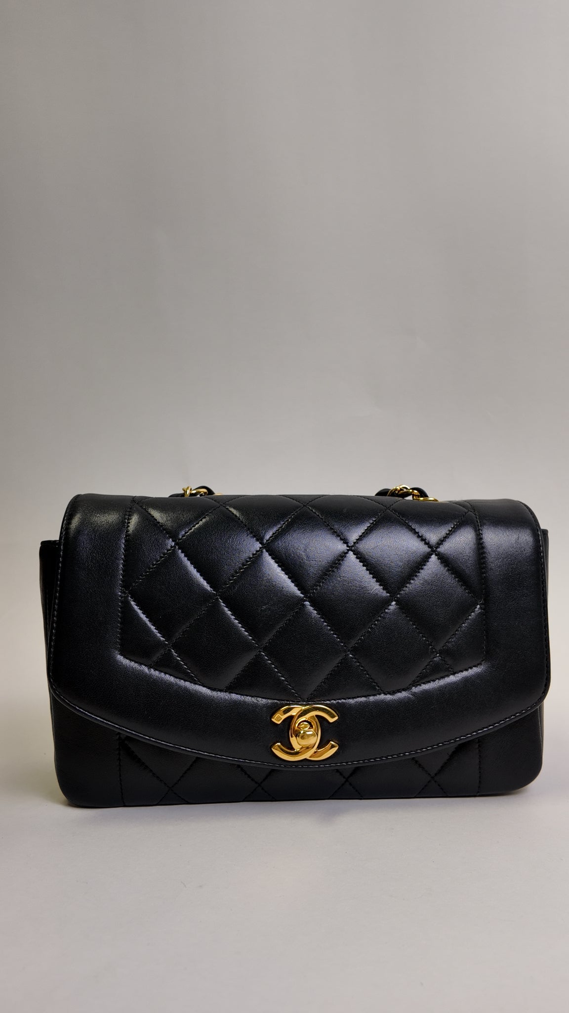 RARE LAMBSKIN SMALL DIANA FLAP BAG WITH 24K GOLD PLATED HW Chanel Handbag