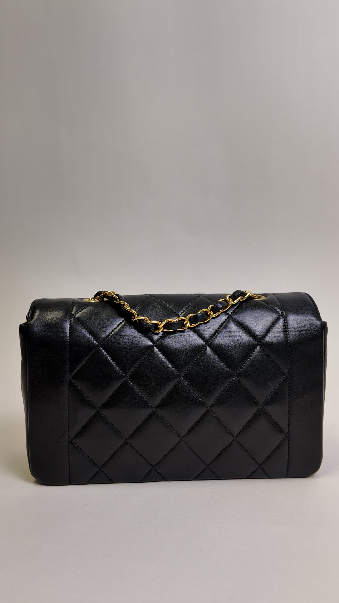 RARE LAMBSKIN SMALL DIANA FLAP BAG WITH 24K GOLD PLATED HW Chanel Handbag